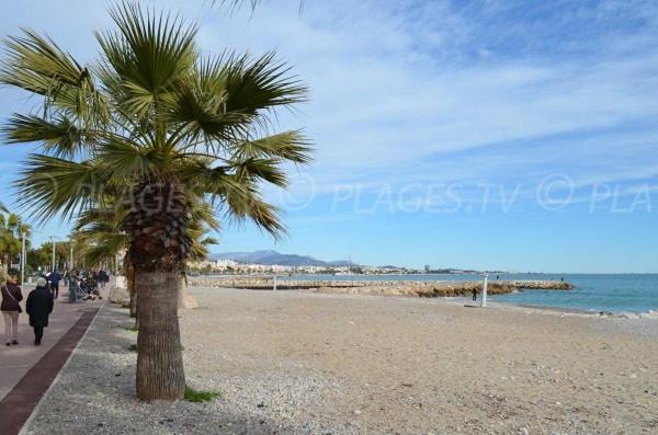 Grand Studio Tres Agreable Avec Bar, Cuisine Et Terrasse Cagnes-sur-Mer Extérieur photo